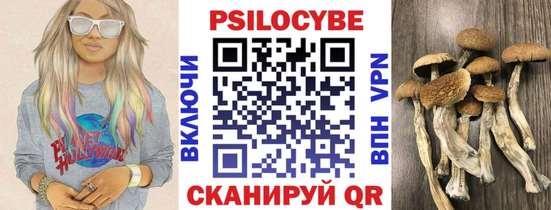 купить наркотики цена  Нальчик  mega зеркало  Галлюциногенные грибы ЛСД 